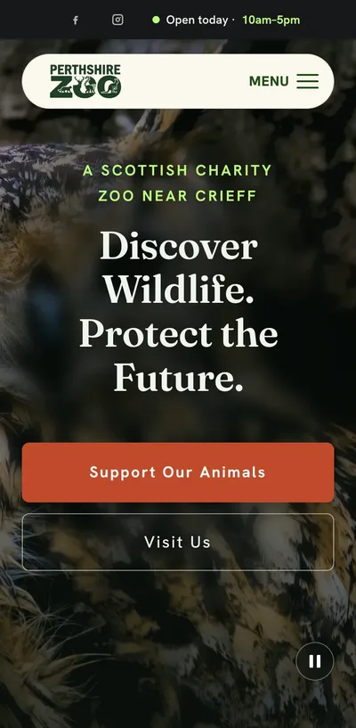 Perthshire Zoo’s website on a phone: Discover Wildlife. Protect the Future., with today’s opening hours.